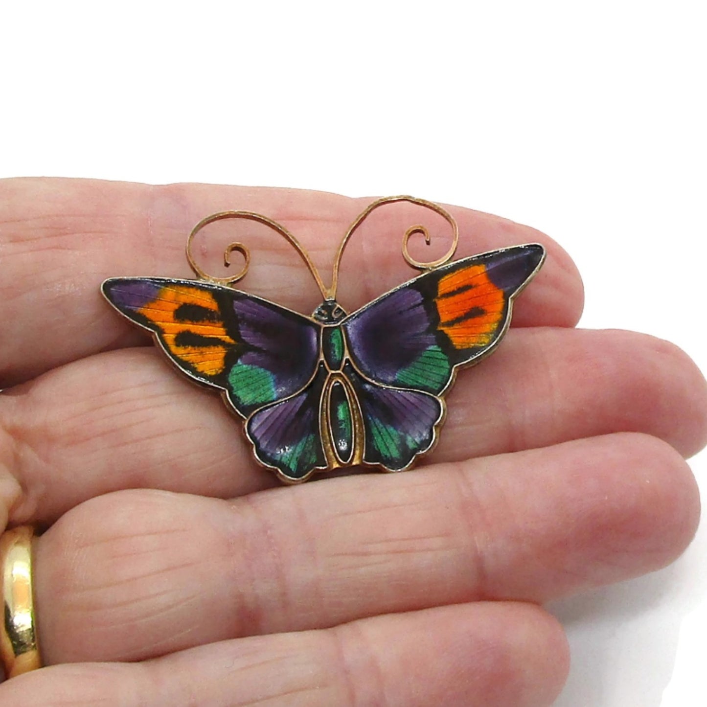 Large David Andersen sterling silver gilt and multi colour enamel butterfly brooch held in hand